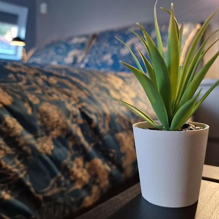 The Penthouse Ny Loft Apartment Barmouth Esterno foto